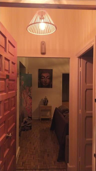 타리파 Encantador Apartamento Acogedor 아파트 외부 사진